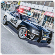 真实警车驾驶模拟器汉化版下载-真实警车驾驶模拟器游戏最新版