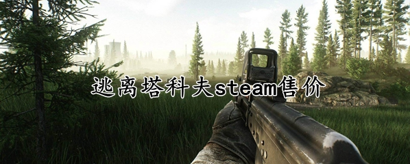 逃离塔科夫多少钱-steam各档位售价详细介绍